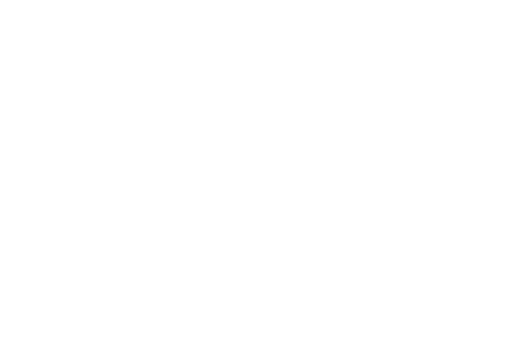 icons Logo